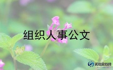 人事专员年终个人总结5篇