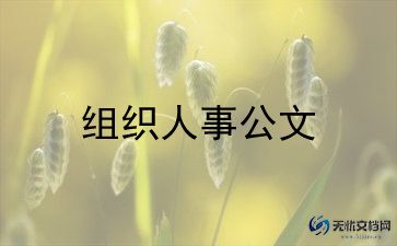 人事工作总结汇总6篇