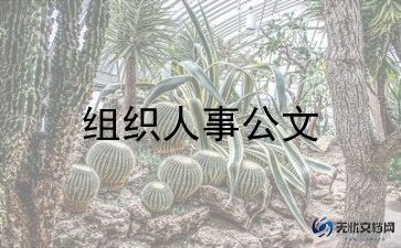 行政人事转正申请书7篇