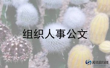 最美教师个人事迹6篇